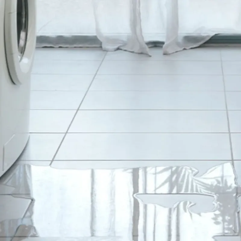 Appliance Leak Cleanup in Mitchell County, GA