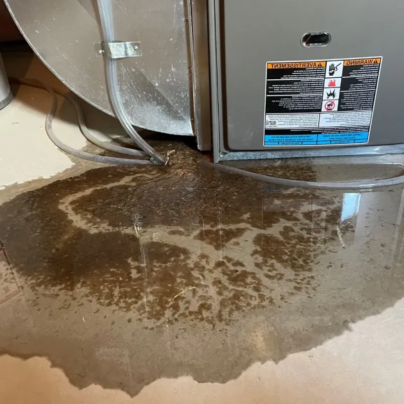Pipe Burst and Leak Restoration in Mitchell County, GA