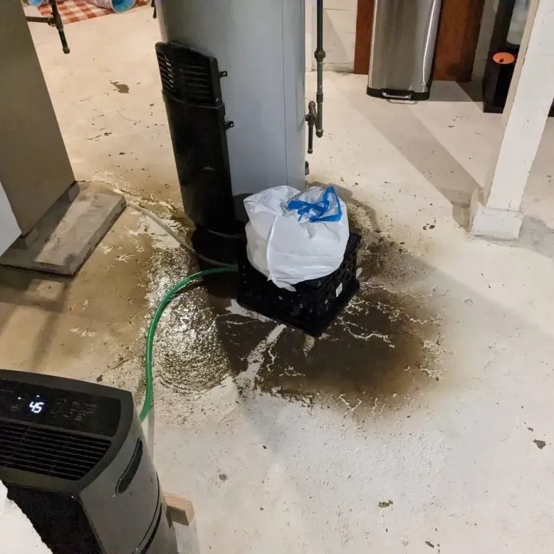 Sewage Backup Cleanup Service in Mitchell County, GA